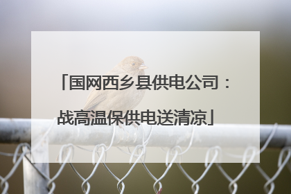 国网西乡县供电公司:战高温保供电送清凉