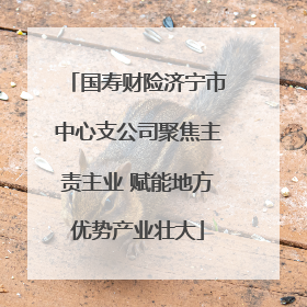 国寿财险济宁市中心支公司聚焦主责主业 赋能地方优势产业壮大