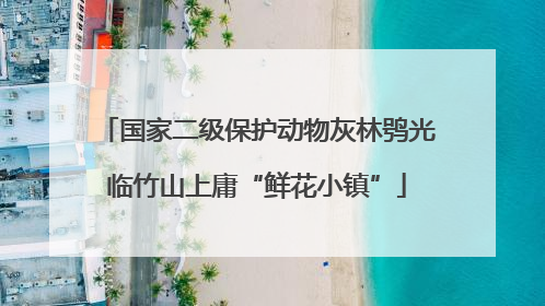 国家二级保护动物灰林鸮光临竹山上庸“鲜花小镇”