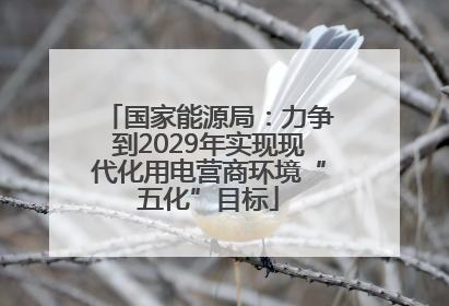 国家能源局：力争到2029年实现现代化用电营商环境“五化”目标