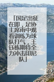 国足出征在即，足协主席雨中观看训练为球队打气，王钰栋期待全力冲击印尼队