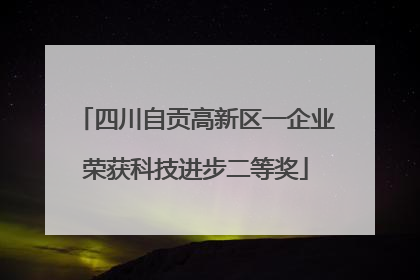 四川自贡高新区一企业荣获科技进步二等奖