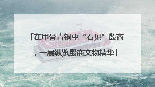 在甲骨青铜中“看见”殷商，一展纵览殷商文物精华