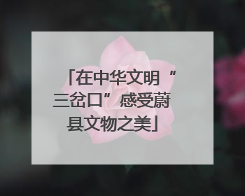 在中华文明“三岔口”感受蔚县文物之美