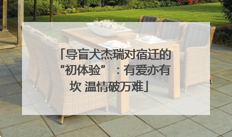 导盲犬杰瑞对宿迁的“初体验”：有爱亦有坎 温情破万难
