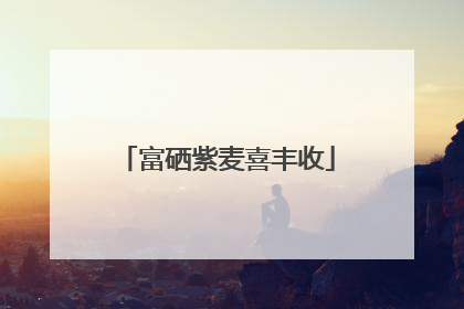 富硒紫麦喜丰收