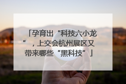 孕育出“科技六小龙”，上交会杭州展区又带来哪些“黑科技”
