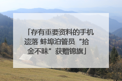 存有重要资料的手机遗落 蚌埠泊管员“拾金不昧”获赠锦旗