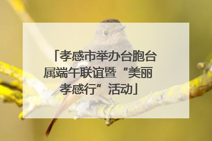 孝感市举办台胞台属端午联谊暨“美丽孝感行”活动