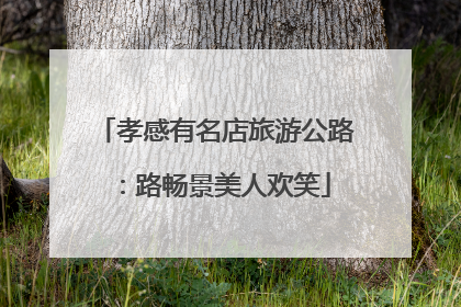 孝感有名店旅游公路：路畅景美人欢笑