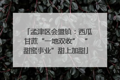孟津区会盟镇：西瓜甘蔗“一地双收” “甜蜜事业”甜上加甜