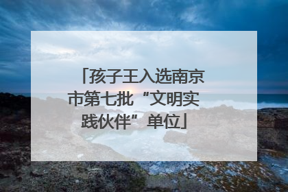 孩子王入选南京市第七批“文明实践伙伴”单位