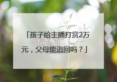 孩子给主播打赏2万元，父母能追回吗？
