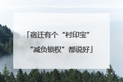 宿迁有个“村印宝” “减负锁权”都说好