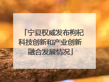 宁夏权威发布枸杞科技创新和产业创新融合发展情况