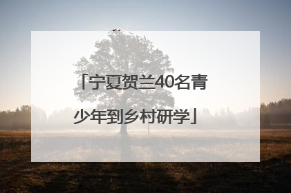 宁夏贺兰40名青少年到乡村研学