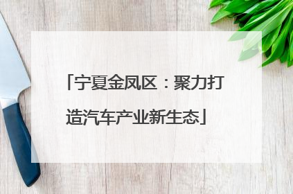 宁夏金凤区：聚力打造汽车产业新生态