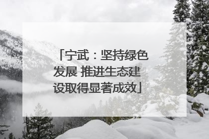 宁武：坚持绿色发展 推进生态建设取得显著成效