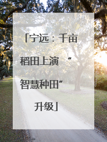 宁远：千亩稻田上演 “智慧种田” 升级