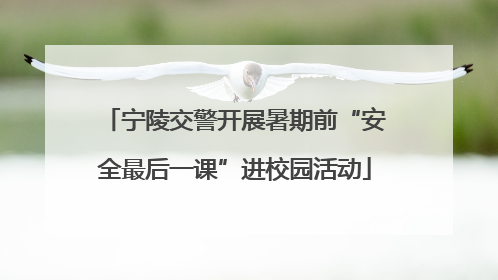 宁陵交警开展暑期前“安全最后一课”进校园活动