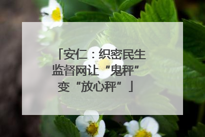 安仁：织密民生监督网让“鬼秤”变“放心秤”