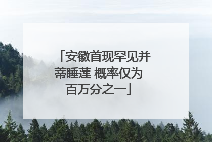 安徽首现罕见并蒂睡莲 概率仅为百万分之一