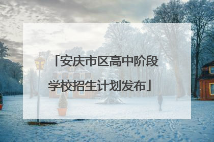 安庆市区高中阶段学校招生计划发布