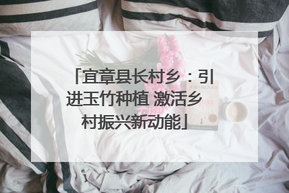 宜章县长村乡：引进玉竹种植 激活乡村振兴新动能