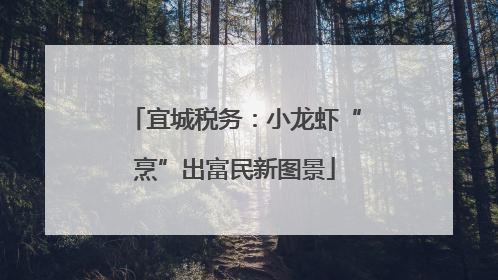 宜城税务：小龙虾“烹”出富民新图景