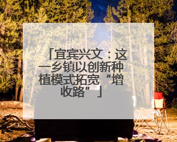 宜宾兴文：这一乡镇以创新种植模式拓宽“增收路”