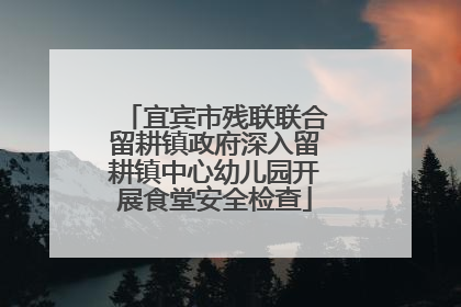 宜宾市残联联合留耕镇政府深入留耕镇中心幼儿园开展食堂安全检查