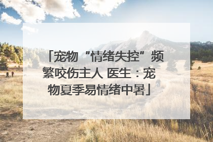 宠物“情绪失控”频繁咬伤主人 医生：宠物夏季易情绪中暑