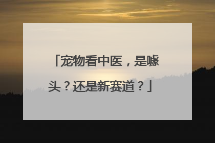 宠物看中医，是噱头？还是新赛道？