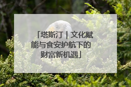 塔斯汀｜文化赋能与食安护航下的财富新机遇