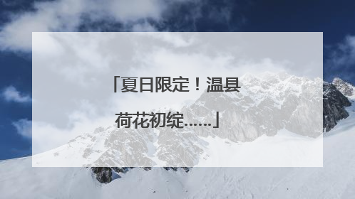 夏日限定！温县荷花初绽……