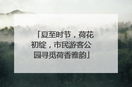 夏至时节，荷花初绽，市民游客公园寻觅荷香雅韵
