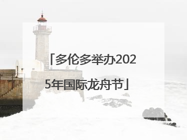 多伦多举办2025年国际龙舟节