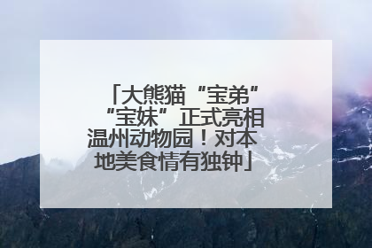 大熊猫“宝弟”“宝妹”正式亮相温州动物园！对本地美食情有独钟