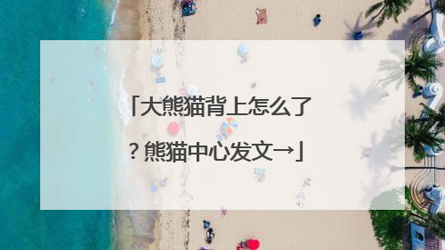 大熊猫背上怎么了？熊猫中心发文→