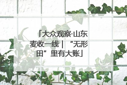 大众观察·山东麦收一线｜“无形田”里有大账