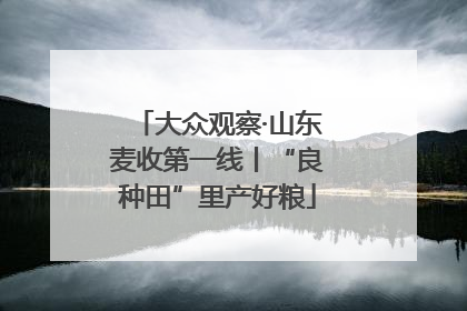 大众观察·山东麦收第一线丨“良种田”里产好粮