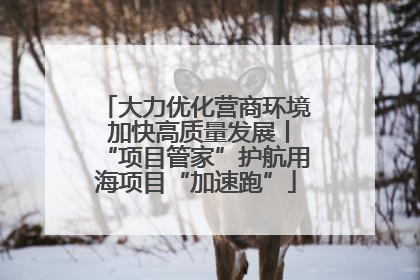 大力优化营商环境 加快高质量发展丨“项目管家”护航用海项目“加速跑”