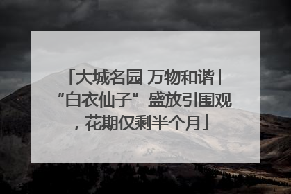 大城名园 万物和谐│“白衣仙子”盛放引围观，花期仅剩半个月