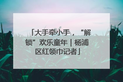 大手牵小手，“解锁”欢乐童年｜杨浦区红领巾记者