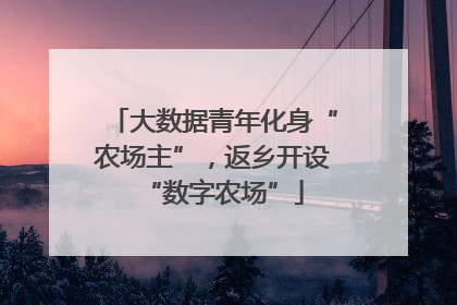 大数据青年化身“农场主”，返乡开设“数字农场”