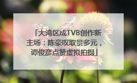大湾区成TVB创作新主场：陈豪叹取景多元，谭俊彦点赞虚拟拍摄