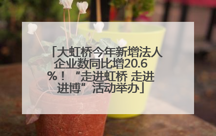 大虹桥今年新增法人企业数同比增20.6%！“走进虹桥 走进进博”活动举办