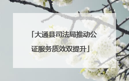 大通县司法局推动公证服务质效双提升