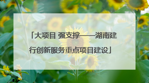 大项目 强支撑——湖南建行创新服务重点项目建设