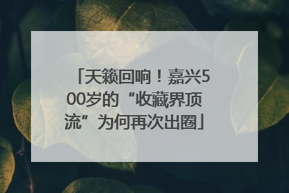 天籁回响！嘉兴500岁的“收藏界顶流”为何再次出圈